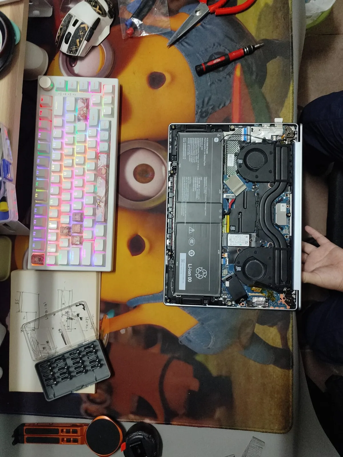 后盖打开之后的样子